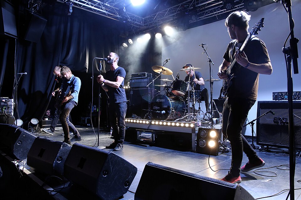 The Ocean Collective